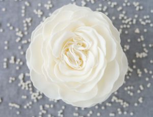 Gracious Pearl - A'marie's Romantic Collection