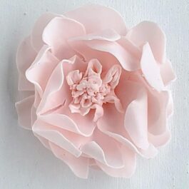 Sweet Blush Garden Rose