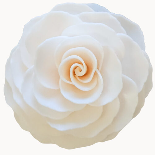 Champagne Petals