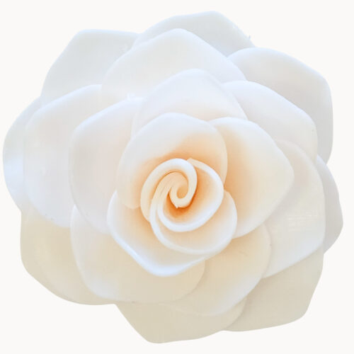 Champagne Petals (Petite)