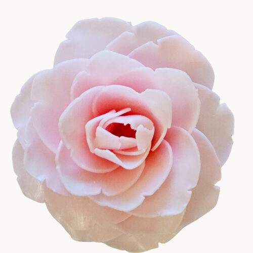 Day in Paris Peony (Petite)