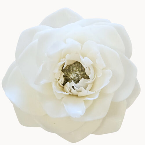 Mississippi Queen Magnolia (Petite)